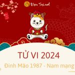 tu-vi-dinh-mao-nam-mang-2024